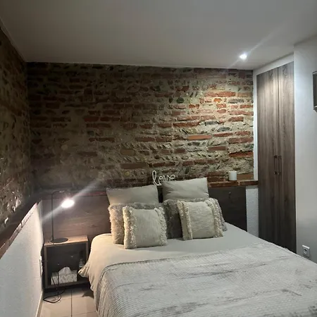 Lejlighed Les Pierres De Rinaldi Albi